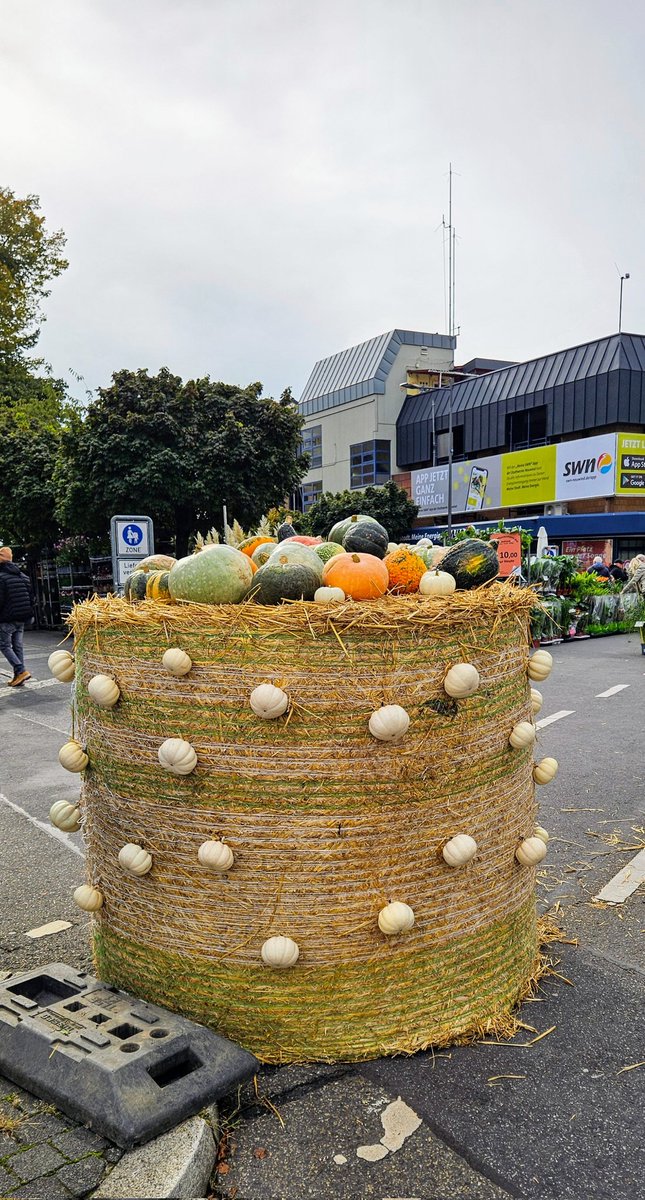 UMZiegeroski's tweet photo. Photos from the Market Days 2024 here๐ถโโ๏ธ๐๐๐๐๐ชด๐บ๐๐๐๐๐ฅ๐ฝ๐ง
๐โ๐ซ๐ฅ๐๐๐ญ๐ฏ๐ฅ๐ท๐ป๐ง๐๐ #Neuwied #Markttage #marketdays #Herbst #fall #autumn #harvest #art #foodsafetydepartment #wine #books #charity #pumpkin https://t.co/njcpkfhTXx