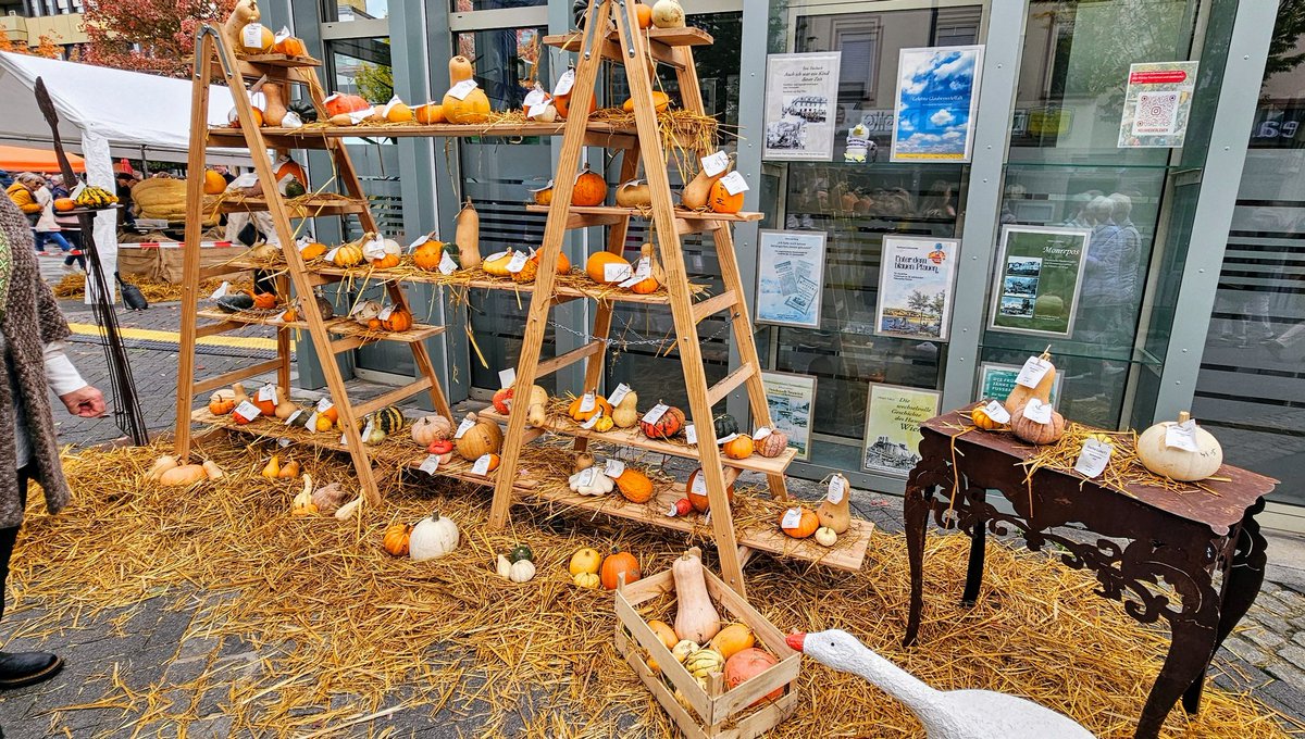 UMZiegeroski's tweet photo. Photos from the Market Days 2024 here๐ถโโ๏ธ๐๐๐๐๐ชด๐บ๐๐๐๐๐ฅ๐ฝ๐ง
๐โ๐ซ๐ฅ๐๐๐ญ๐ฏ๐ฅ๐ท๐ป๐ง๐๐ #Neuwied #Markttage #marketdays #Herbst #fall #autumn #harvest #art #foodsafetydepartment #wine #books #charity #pumpkin https://t.co/L6JNnxeQtU