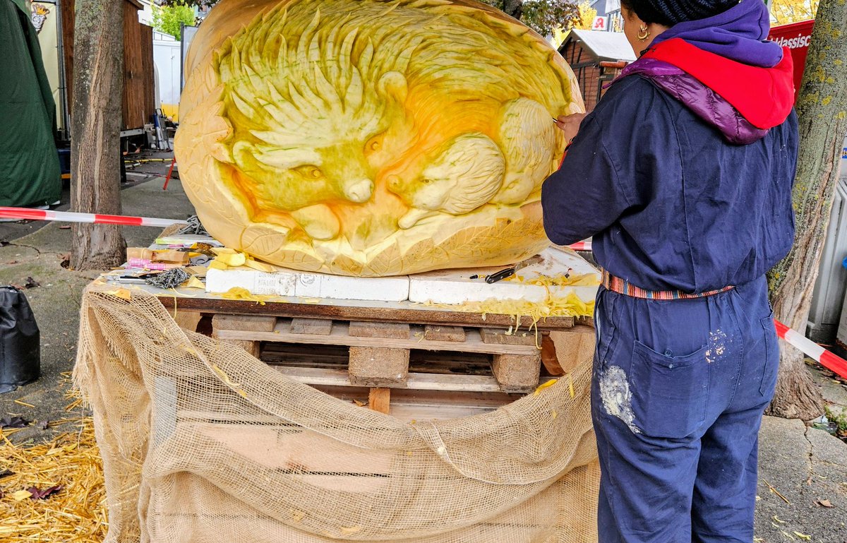 UMZiegeroski's tweet photo. Photos from the Market Days 2024 here๐ถโโ๏ธ๐๐๐๐๐ชด๐บ๐๐๐๐๐ฅ๐ฝ๐ง
๐โ๐ซ๐ฅ๐๐๐ญ๐ฏ๐ฅ๐ท๐ป๐ง๐๐ #Neuwied #Markttage #marketdays #Herbst #fall #autumn #harvest #art #foodsafetydepartment #wine #books #charity #pumpkin https://t.co/L6JNnxeQtU