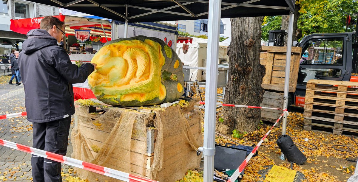 UMZiegeroski's tweet photo. Photos from the Market Days 2024 here๐ถโโ๏ธ๐๐๐๐๐ชด๐บ๐๐๐๐๐ฅ๐ฝ๐ง
๐โ๐ซ๐ฅ๐๐๐ญ๐ฏ๐ฅ๐ท๐ป๐ง๐๐ #Neuwied #Markttage #marketdays #Herbst #fall #autumn #harvest #art #foodsafetydepartment #wine #books #charity #pumpkin https://t.co/1Qo6A8K8Hy