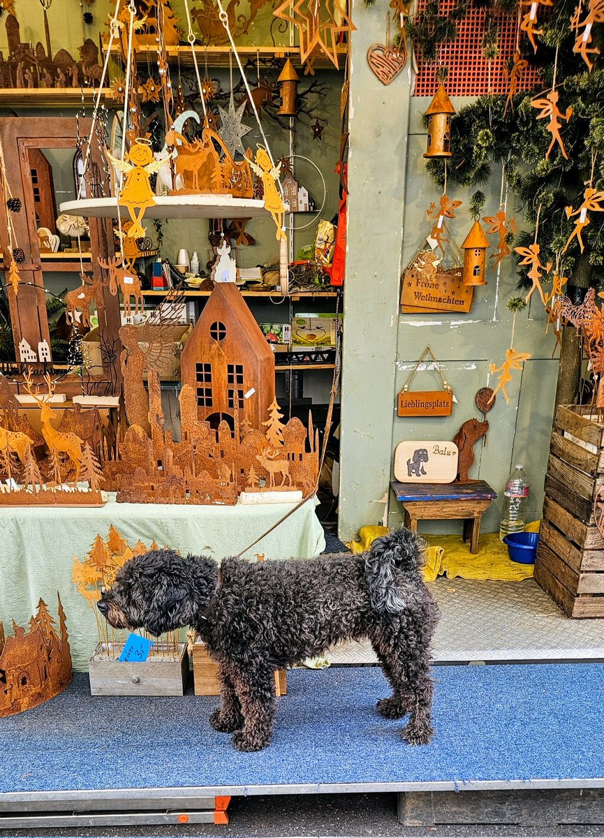 UMZiegeroski's tweet photo. The "watch dog" ๐
Photos from the Market Days 2024 here๐ถโโ๏ธ๐๐๐๐๐ชด๐บ๐๐๐๐๐ฅ๐ฝ๐ง
๐โ๐ซ๐ฅ๐๐๐ญ๐ฏ๐ฅ๐ท๐ป๐ง๐๐ #Neuwied #Markttage #marketdays #Herbst #fall #autumn #harvest #art #foodsafetydepartment #wine #books #charity #pumpkin https://t.co/4mkpe8aMjT