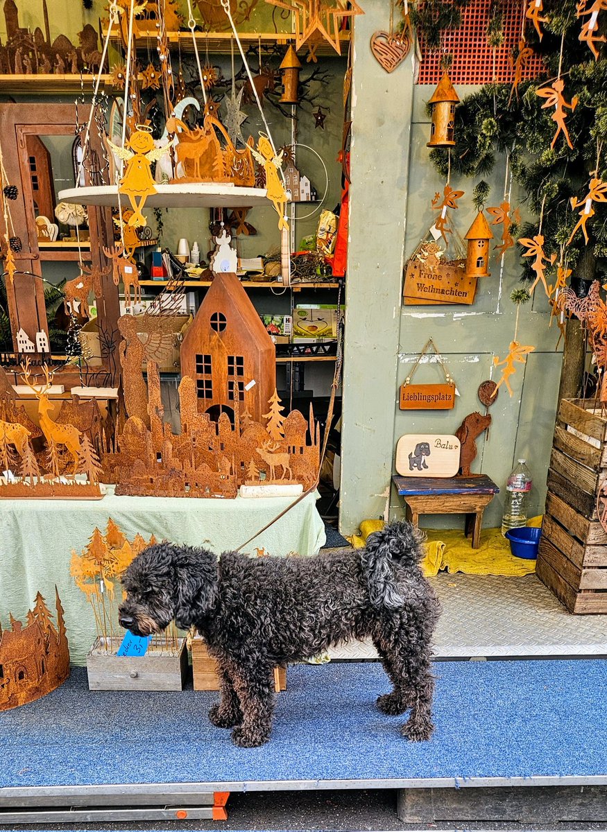 UMZiegeroski's tweet photo. The "watch dog" ๐
Photos from the Market Days 2024 here๐ถโโ๏ธ๐๐๐๐๐ชด๐บ๐๐๐๐๐ฅ๐ฝ๐ง
๐โ๐ซ๐ฅ๐๐๐ญ๐ฏ๐ฅ๐ท๐ป๐ง๐๐ #Neuwied #Markttage #marketdays #Herbst #fall #autumn #harvest #art #foodsafetydepartment #wine #books #charity #pumpkin https://t.co/4mkpe8aMjT