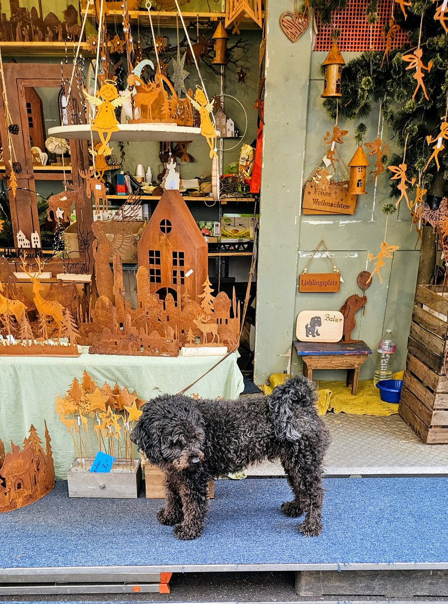 UMZiegeroski's tweet photo. The "watch dog" ๐
Photos from the Market Days 2024 here๐ถโโ๏ธ๐๐๐๐๐ชด๐บ๐๐๐๐๐ฅ๐ฝ๐ง
๐โ๐ซ๐ฅ๐๐๐ญ๐ฏ๐ฅ๐ท๐ป๐ง๐๐ #Neuwied #Markttage #marketdays #Herbst #fall #autumn #harvest #art #foodsafetydepartment #wine #books #charity #pumpkin https://t.co/4mkpe8aMjT