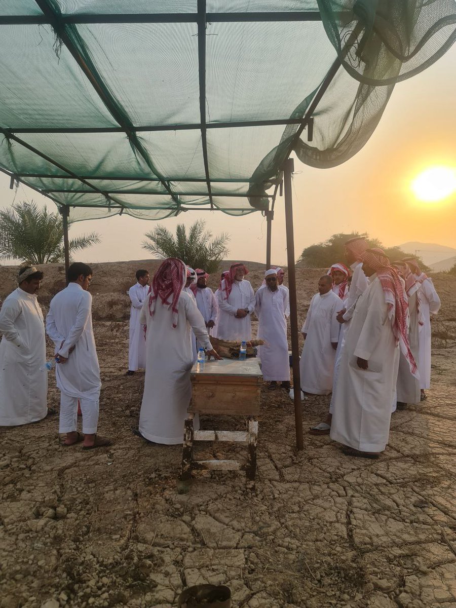 mksalsaadi's tweet photo. الحمد لله تم الانتهاء من الدورة التدريبية  السادسة في تربية النحل وكانت هذه الدورة منعقدة بمحافظة الجموم وسعدتُ باتمام تدريب ٤٥٥ متدرب ومتدربة في الدورات السابقة  وإن شاء المزيد من الدورات التي تسهم في تدريب أبناء الوطن واستغلال الثروات الطبيعية الهائلة في كل منطقة 
@SNSA80
@mksalsaadi
@AlkadiHani 
@gov_taif 
@agri_ext 
@FAOSaudiArabia 
@MatabiMark 
@cscs_sa
@AlfadleyA
@SaudiVision2030
@ReefSaudi
@MEWA_KSA
@aljmom2020
@alrdasa
@bees0229