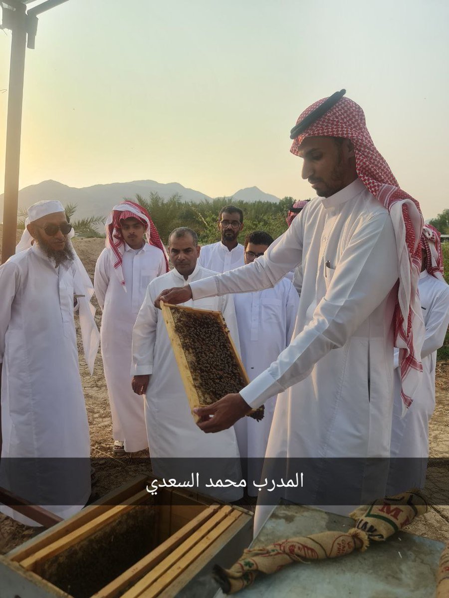 mksalsaadi's tweet photo. الحمد لله تم الانتهاء من الدورة التدريبية  السادسة في تربية النحل وكانت هذه الدورة منعقدة بمحافظة الجموم وسعدتُ باتمام تدريب ٤٥٥ متدرب ومتدربة في الدورات السابقة  وإن شاء المزيد من الدورات التي تسهم في تدريب أبناء الوطن واستغلال الثروات الطبيعية الهائلة في كل منطقة 
@SNSA80
@mksalsaadi
@AlkadiHani 
@gov_taif 
@agri_ext 
@FAOSaudiArabia 
@MatabiMark 
@cscs_sa
@AlfadleyA
@SaudiVision2030
@ReefSaudi
@MEWA_KSA
@aljmom2020
@alrdasa
@bees0229