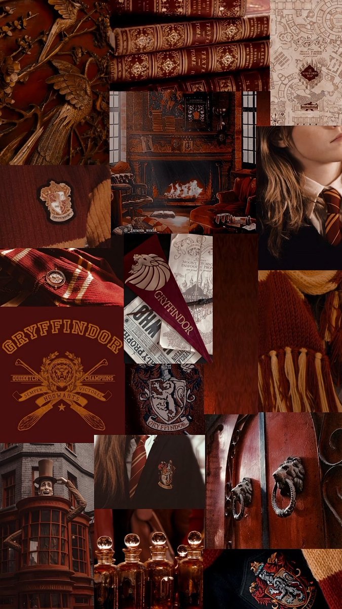 Gryffindor aesthetic 🦁