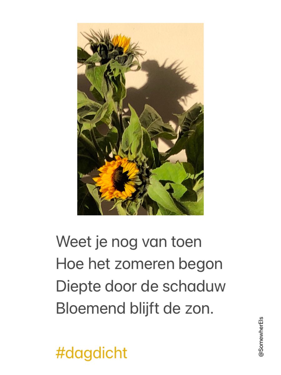 somewherEls's tweet photo. #dagdicht https://t.co/LUo5ib1VQ2