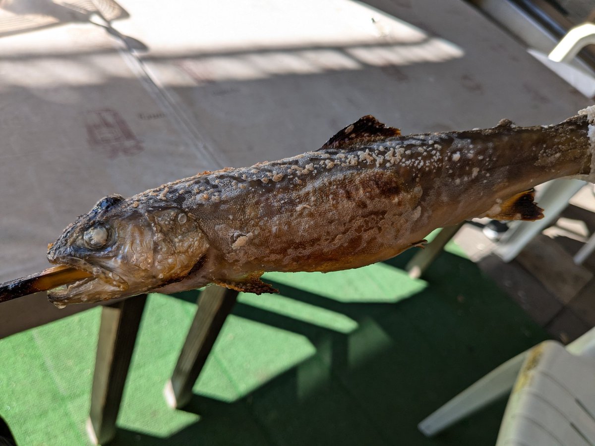 This__Is__Snake's tweet photo. 田沢湖‼️いわなの塩焼きうまい🐟️ https://t.co/IgHi3WpHF4