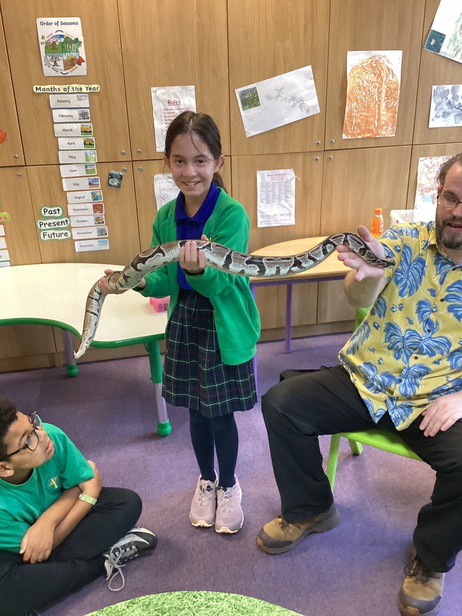 DBarwick (@u4stromero) on Twitter photo Part two 🐍
The children were so brave, well done!
<a href="/stpatsrochdale/">St Patrick's RC Primary</a> <a href="/STOC_CAT/">St Teresa of Calcutta CAT</a> Part two 🐍
The children were so brave, well done!
<a href="/stpatsrochdale/">St Patrick's RC Primary</a> <a href="/STOC_CAT/">St Teresa of Calcutta CAT</a>