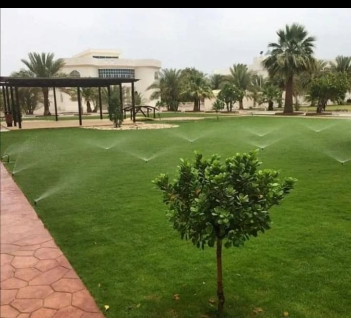 تنسيق حدائق والاشلالات ونوافير وديكورات اسمنتي  (المظلات.    الزراعيه الاشجار والورود والنخيل تركيب الثيل طبيعي سي٢٠٠٠ الفرنسي  بجمع انواع   تصميم شبكه الري كامله/  العشب الجداري والخشب الثيل الصناعي 
اتواصل مع ابو عبده
رقم الواتس 0556998137