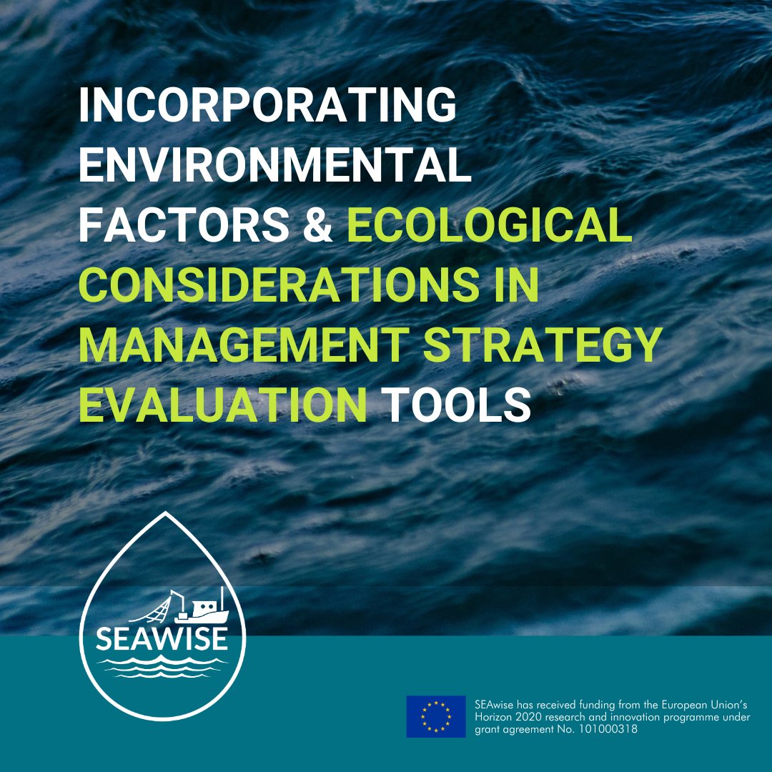 Earlier this year, #SEAwise &amp; @ICES_ASC hosted a joint workshop benchmarking methods to incorporate the impact of environmental &amp; ecological factors on fish stocks in Management Strategy Evaluations, with the aim of making recommendations on their integration in EU management