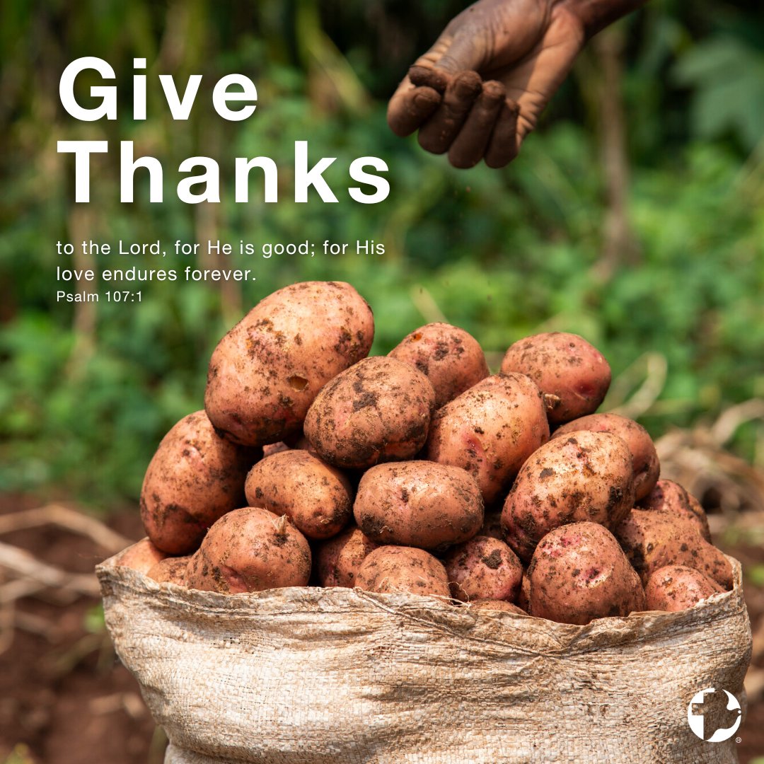 Happy Thanksgiving to our Canadian followers!

#MCCPeace #Thanksgiving #GiveThanks #CanadianThanksgiving

MCC/Fairpicture photo/Denyse Kamugwiza Uwera

Alt text: