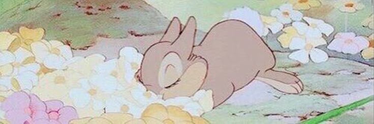 loaf of catto bread.𝑧𝑖𝑝 tweet media