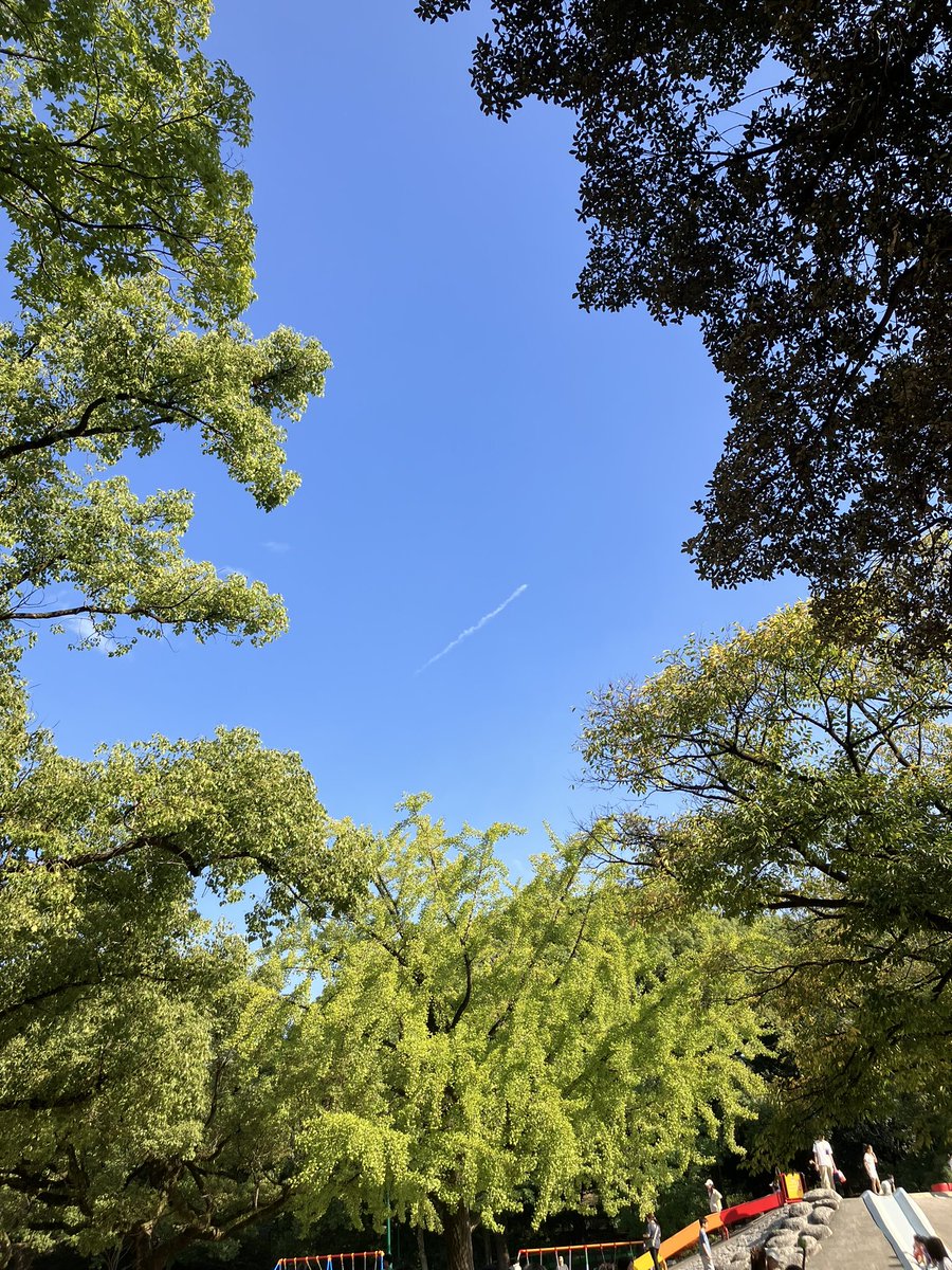 zaki_no's tweet photo. キルアの脳に刺さってたイルミの針 https://t.co/ttyeU9GzuE