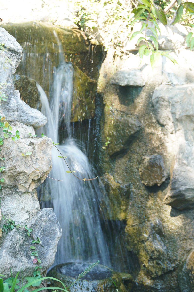 『水の広がり』
#三連休はフォロワーさんが増えるらしい見てもらえるだけでも嬉しい 
#滝