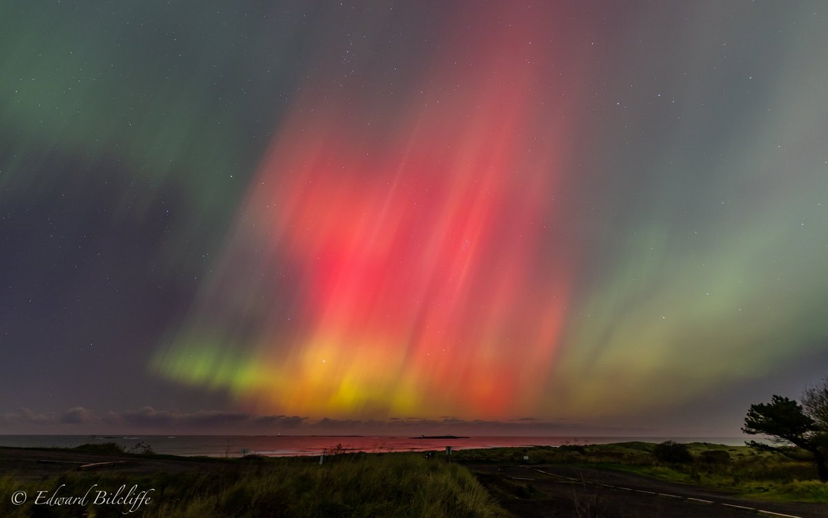 Waterford-Bamburgh tweet media