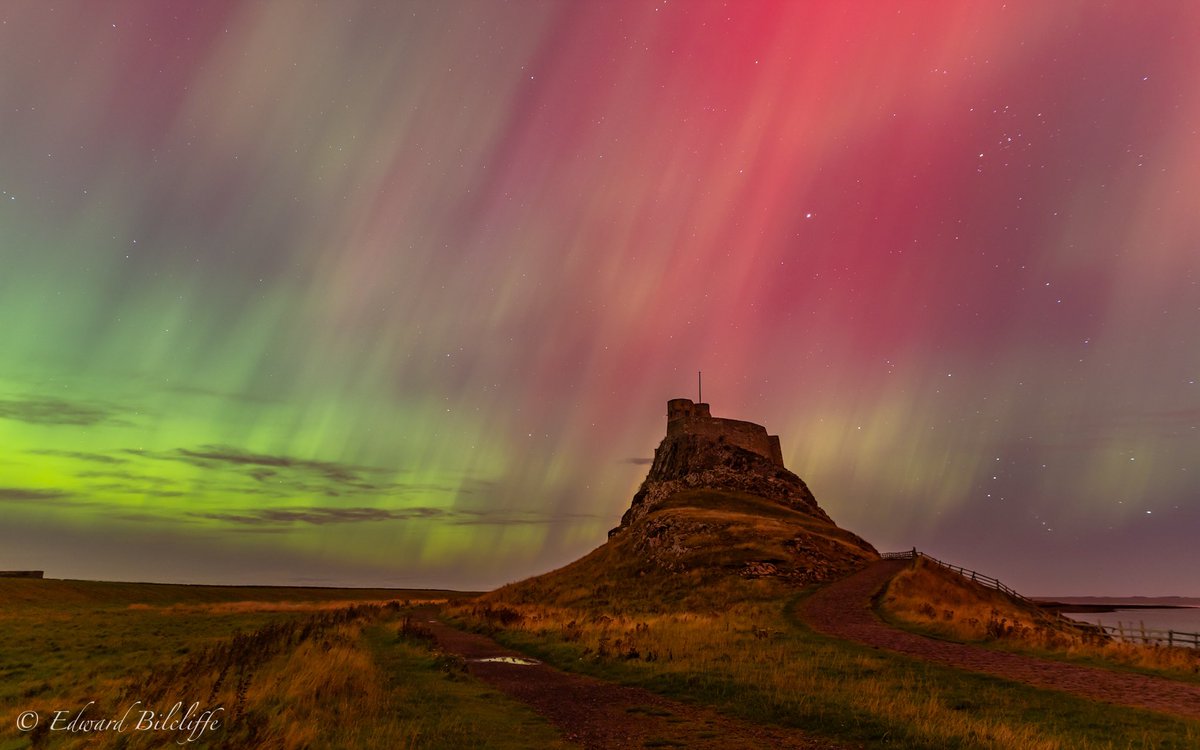 Waterford-Bamburgh tweet media