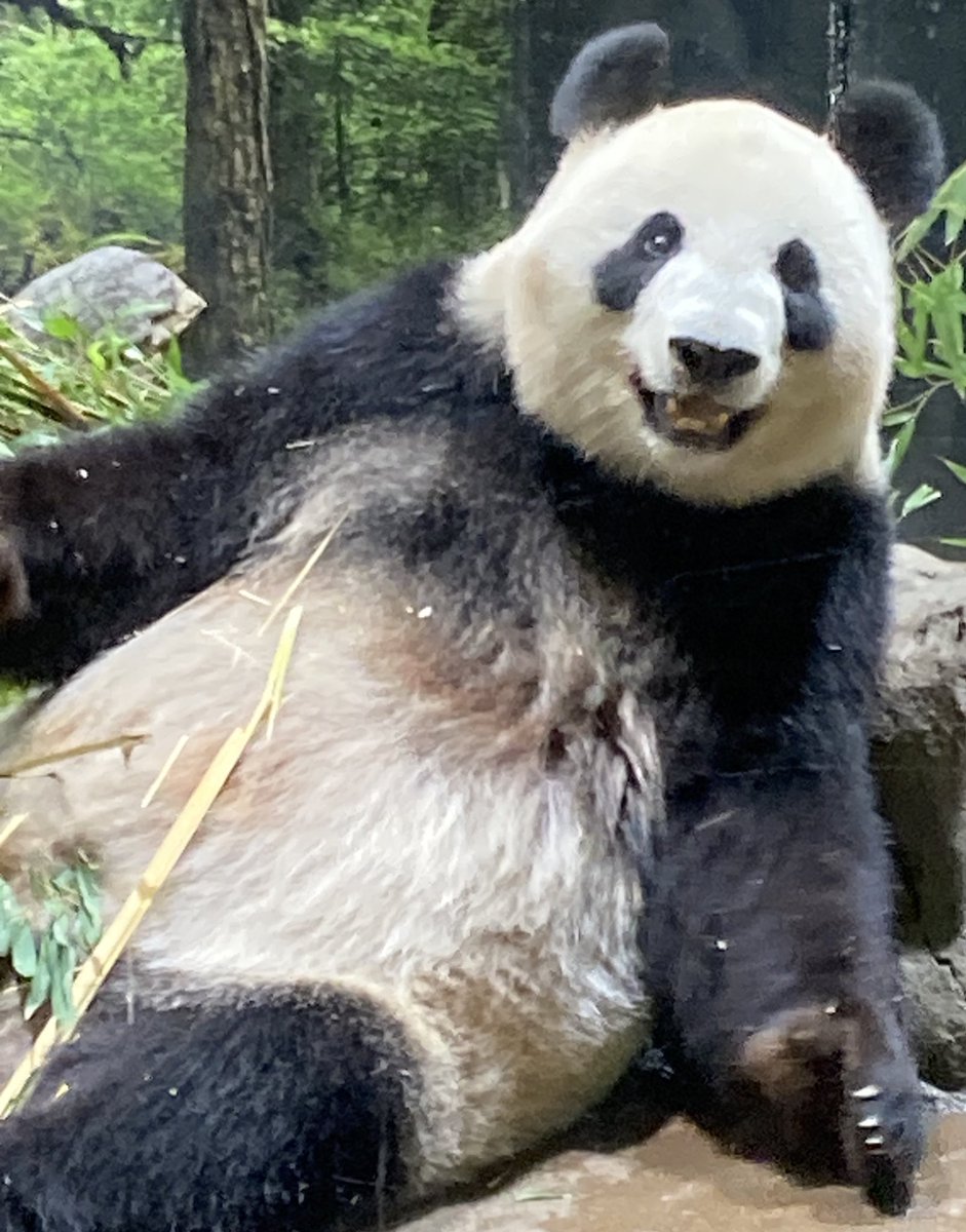 A_pank_T tweet media