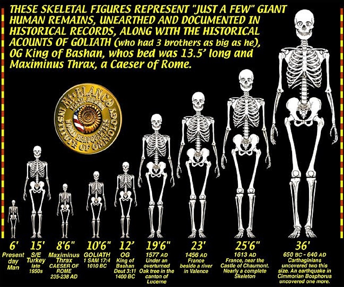 battleofever's tweet photo. Lifetime Homework:
#Genesis6Conspiracy
Go research #Nephilim #Raphaim #Bloodlines, #13Families, #1800sReset.
Old world was destroyed, History was invented, cosmology & calendars were altered, frequency & vibration weaponized, you've been lied to. https://t.co/iVsQpMQzRQ