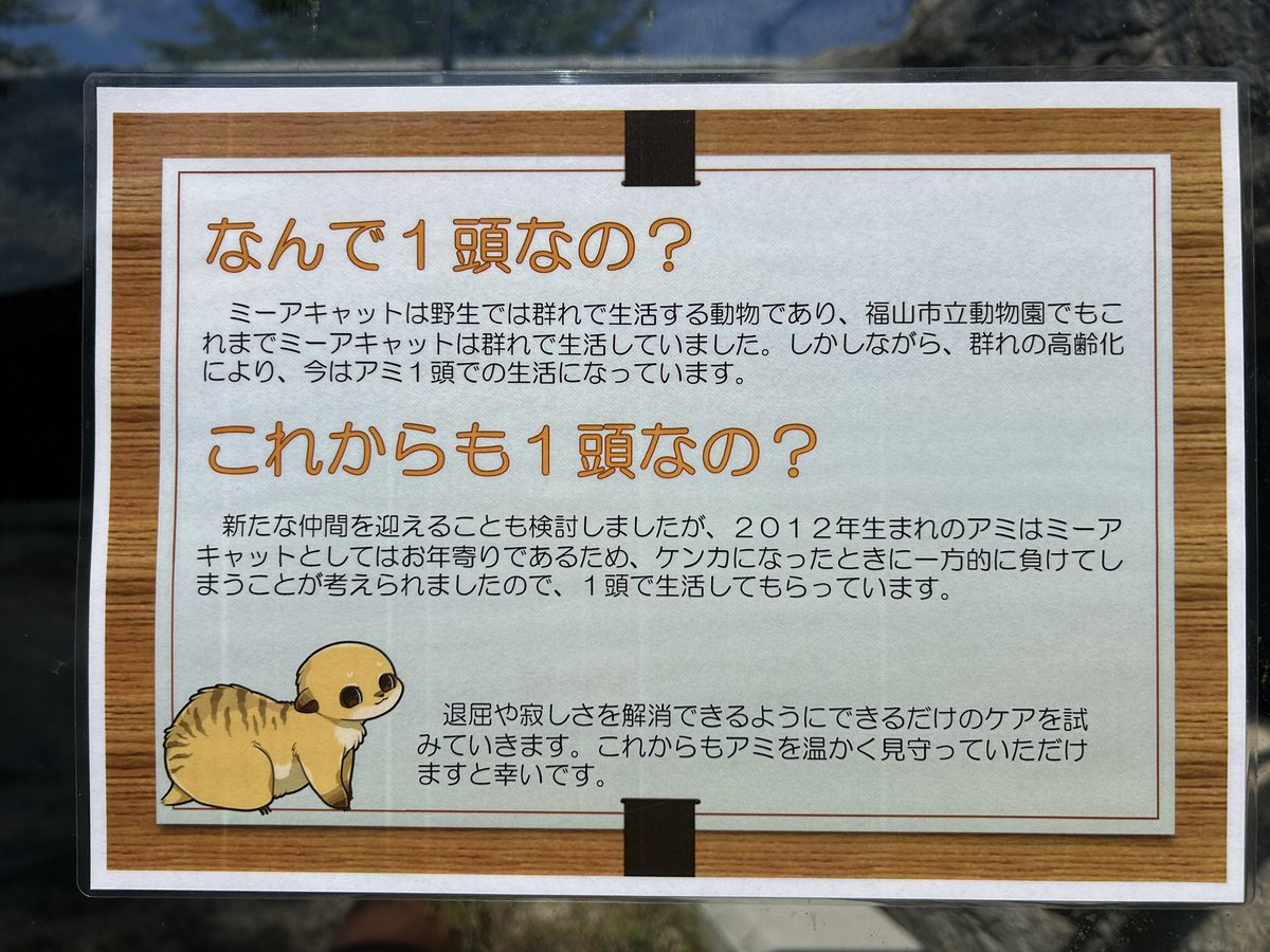 しろねこ tweet media