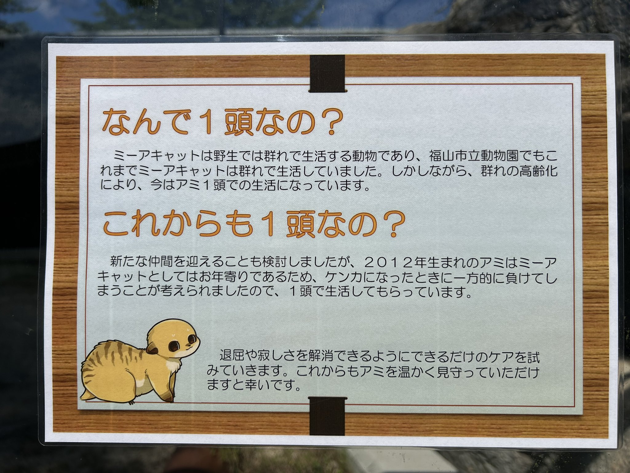 pet_img_2_h6a7xer11mtj.jpg