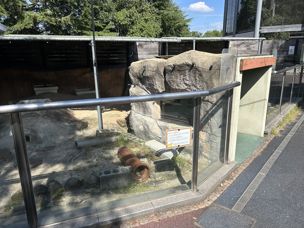 しろねこ (@Zk5Gb) / Posts / X