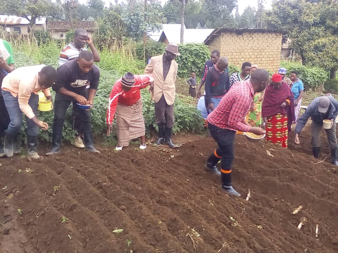 AgriTrials's tweet photo. Happy and fruitful new week, farmers! Maximize your productivity with us. Use #SmartInput digital solution to manage your farm inputs precisely, available at Playstore (https://t.co/GvIV1jVREj) and Connect with our verified agronomists for daily farming advice.#FarmingWithUs. https://t.co/hrwjnDNSEw