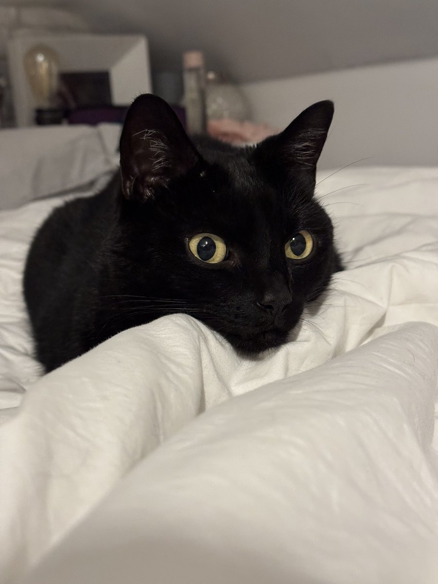 Starting my morning with a rest