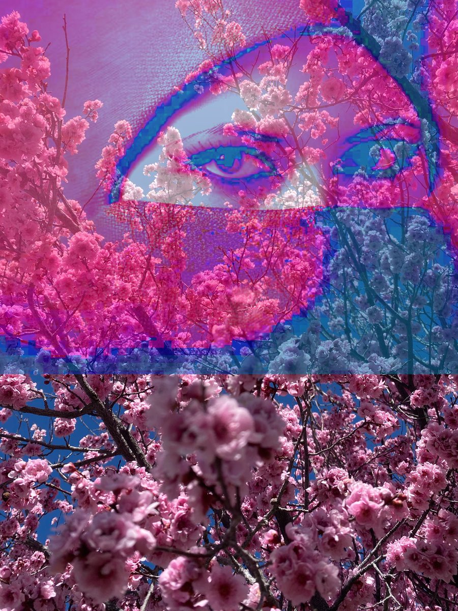 kyotoisntsafe's tweet photo. Arabian Drift inspired art
#rap #rappers #rapper #manga #music #anime #artist
#artwork #art #drawings #drawing #draw #thankyoukyotoisntsafe #digitalart #digitalartist #digitalartwork #arabiandrift #saudidrift #edit #editart #nature #natureart #editarts #editphotoart https://t.co/oSutuIS123