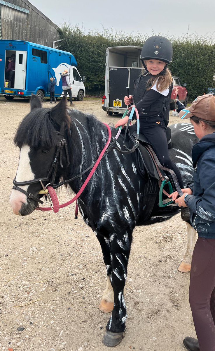 CayKendall tweet media