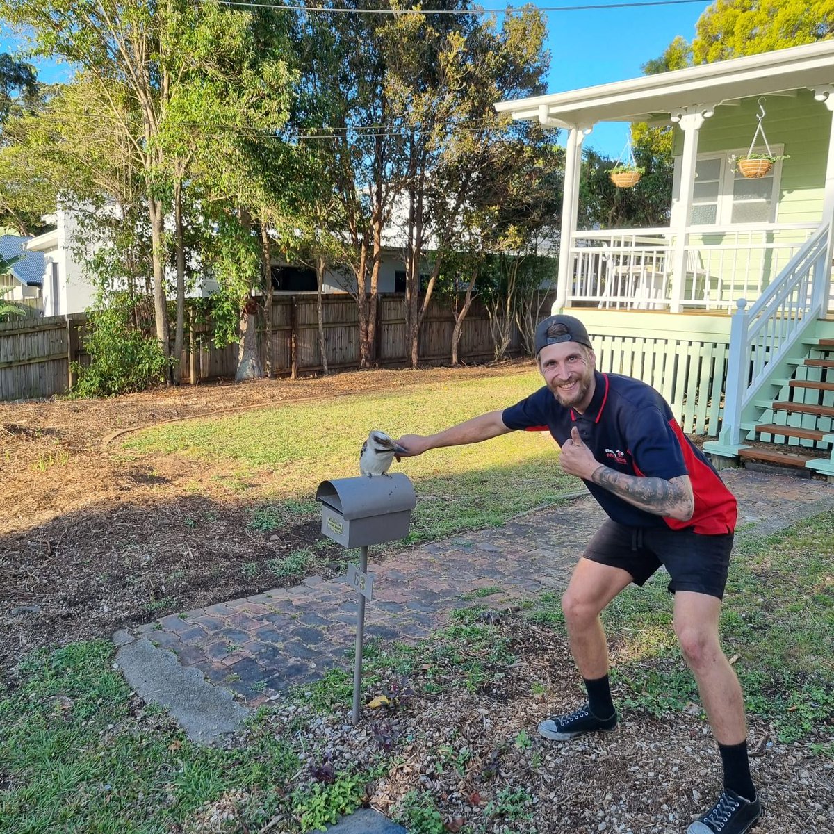readymoversdrw's tweet image. Why we love Australia, Amazing finds on job sites, How cute is this Kookaburra.

#removalists #Movers #packmovelive #moving #relocations