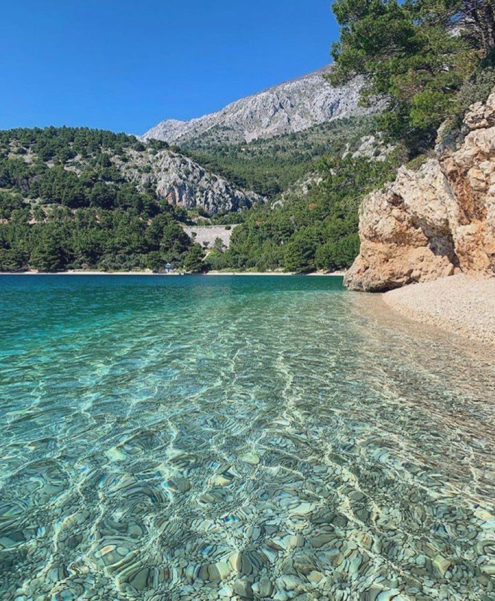 Ramin Nasibov (@raminnasibov) on Twitter photo 