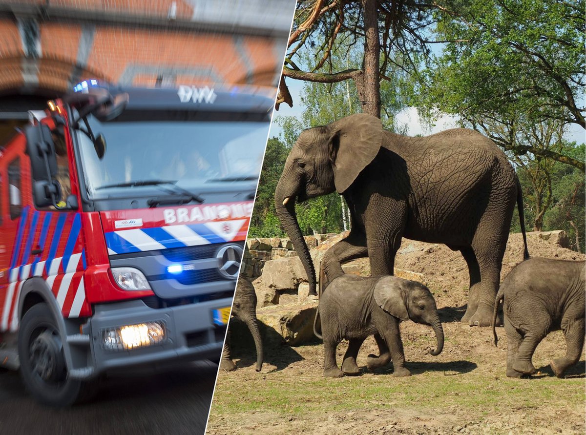 Zeer grote brand in Safaripark Beekse Bergen