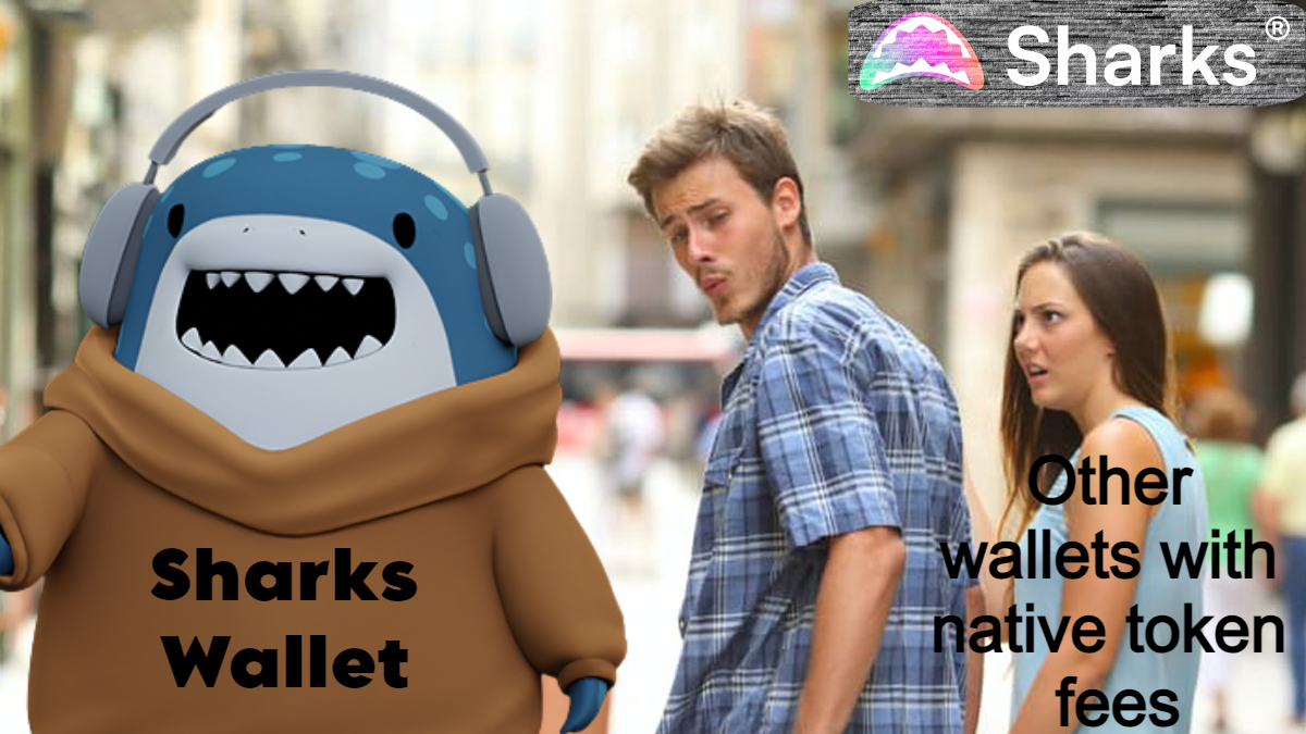 sharks_finance's tweet photo. #meme #sharkswallet #sharks_wallet https://t.co/mky8XDIhq1