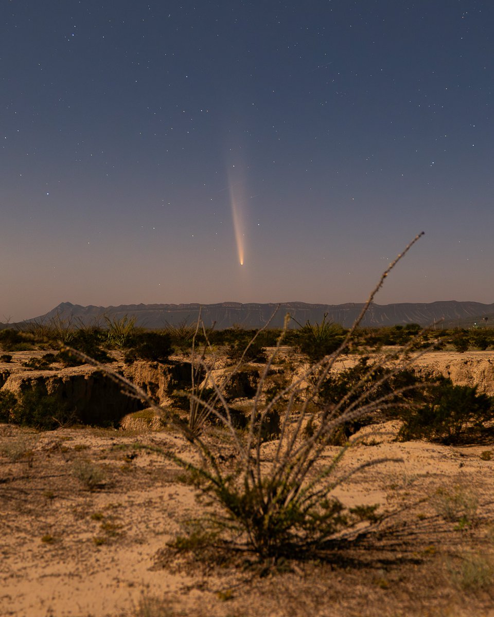 GabGuajardo's tweet photo. Cometa C/2023 A3 Tsuchinshan Atlas, visto desde Mina, Nuevo León México. Tomadas con la Nikon Z8. #nikonmx
#CometATLAS #CometA3 https://t.co/lJ4F3G6xxr