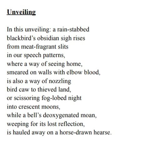alessandrabava's tweet image. #Translating poems by 5 contemporary American poets. For once these won't be published but read next week at the University and at Rome's Translation House.