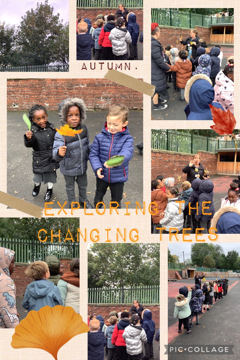W/E 4.10.24: The #Reception children have walked around the school grounds exploring all the different changes happening to the trees now that Autumn has arrived. Some children collected objects like fallen leaves, pinecones and acorns.