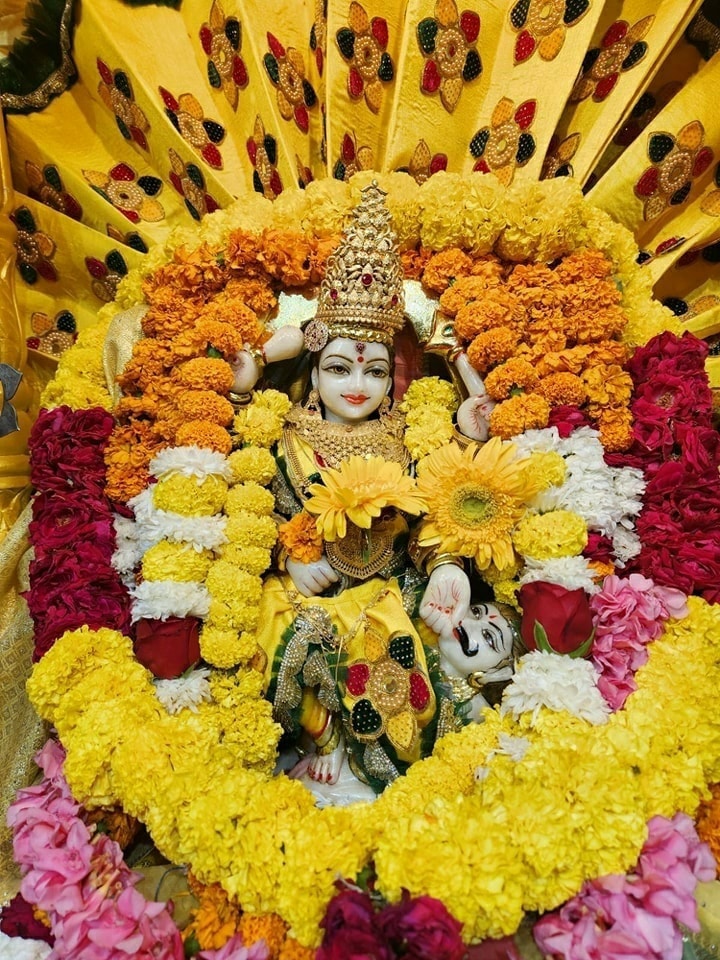 व्यष्ठि रूप में शत्रुओं को नष्ट करने की इच्छा रखने वाली तथा समिष्टि रूप में परमात्मा की संहार शक्ति ही माँ बगलामुखी हैं।