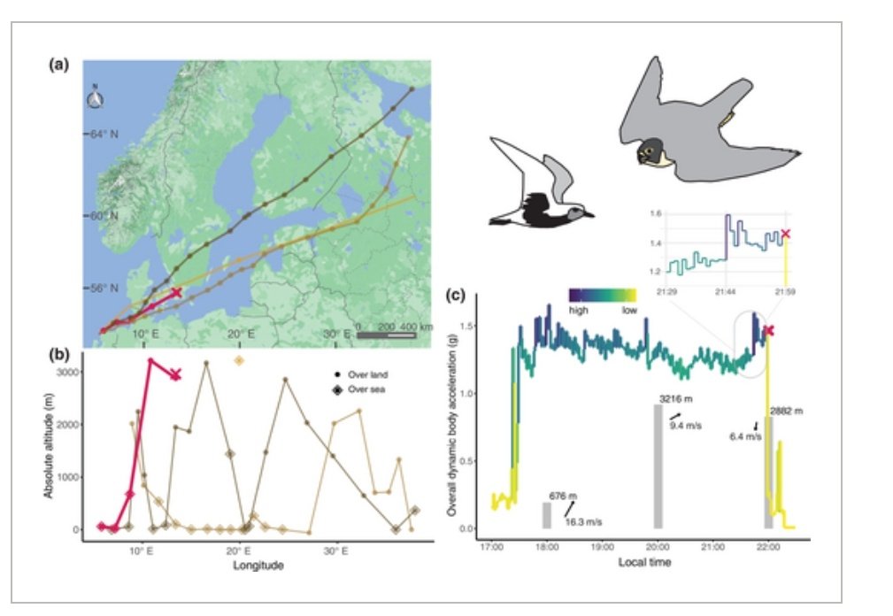 Alex Lees tweet media