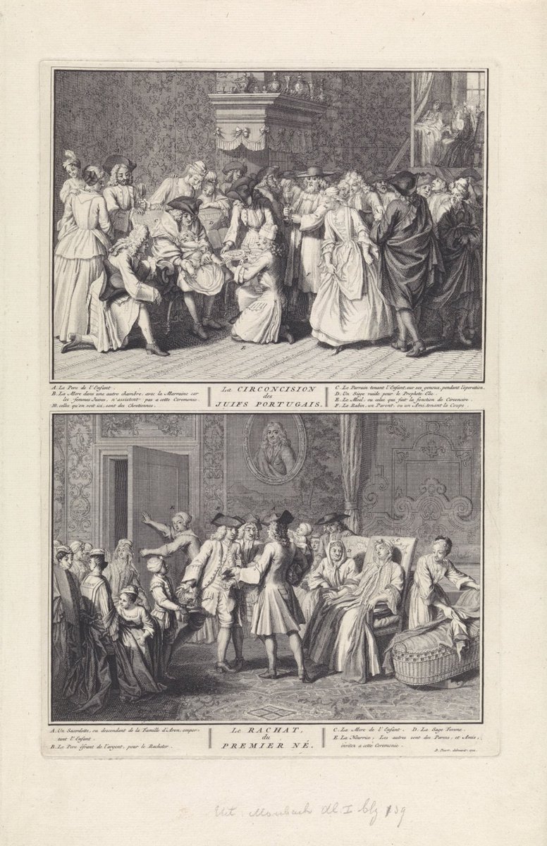 steff nellis tweet media