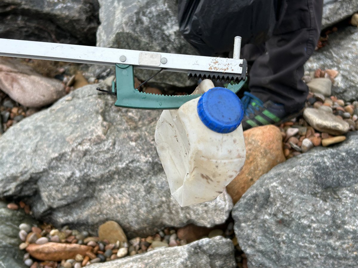 Timespan tweet media