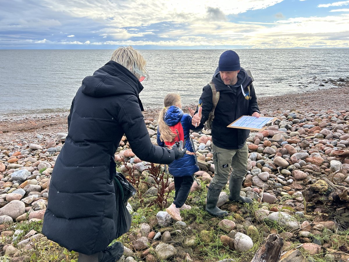 Timespan tweet media