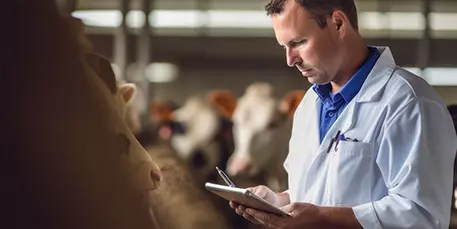 [Formation] Daniel était embêté avec des veaux très malades (diarrhées et toux). Il pressentait que la solution devait être globale (alimentation, environnement, pratiques d’élevage…). Il a suivi la formation « Gérer le capital santé de son troupeau » 👉url-r.fr/DjmsR