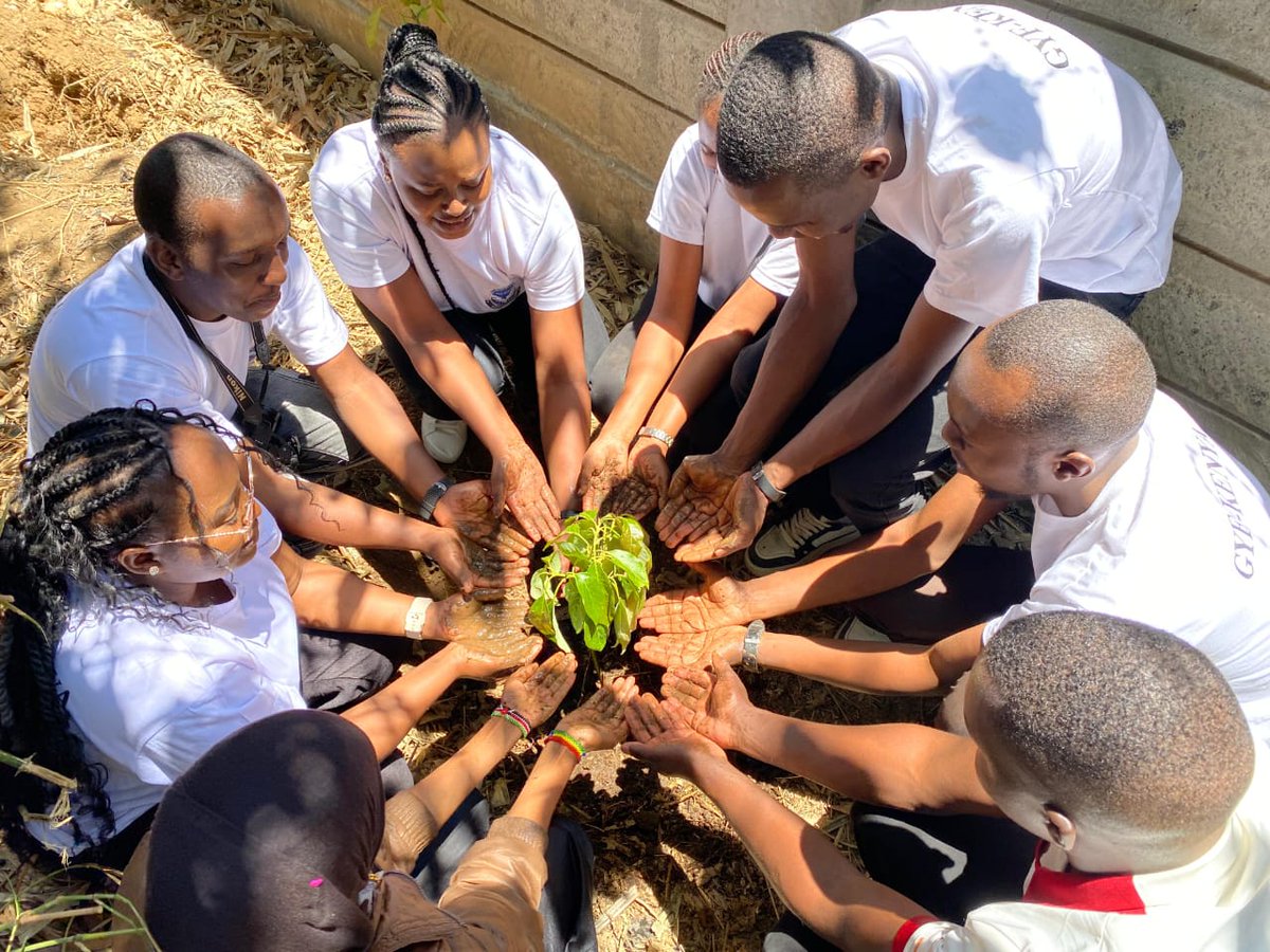 ThioMuiruri's tweet photo. As GYF-KENYA CBO, we want to  take this opportunity to extend our sincerest gratitude for the support granted to us towards the Gilgil Special School visit. We were able to plant 85 fruit trees to contribute to the school's environment and sustainability. May God bless you all. https://t.co/IXt1TpLwmm