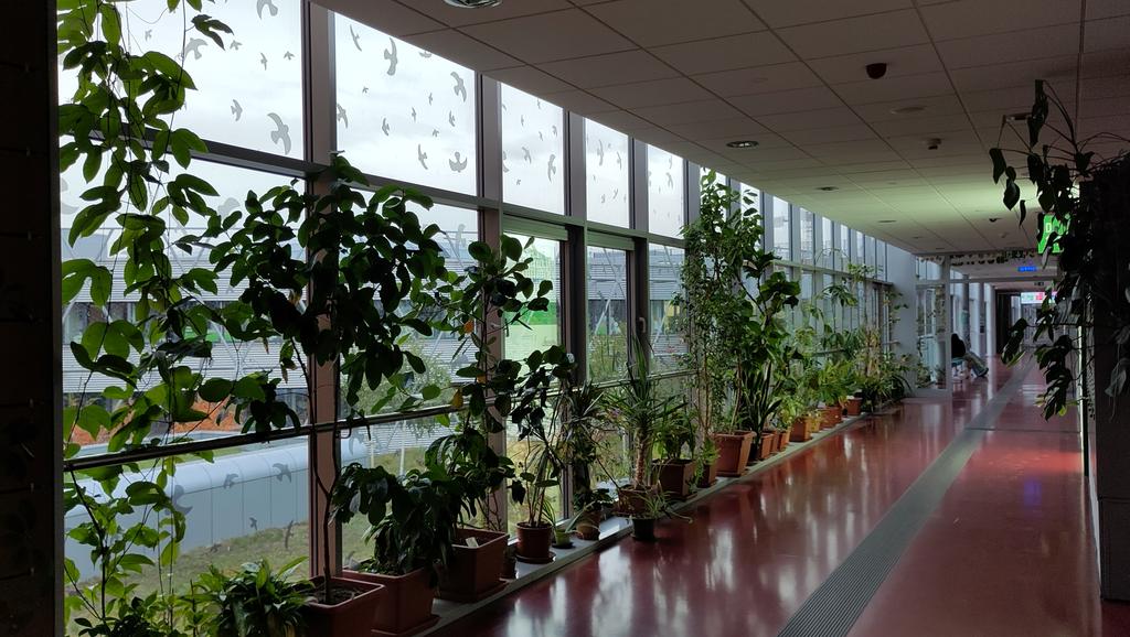 Jordan Cuff 🕸️🧬🕷️ tweet media