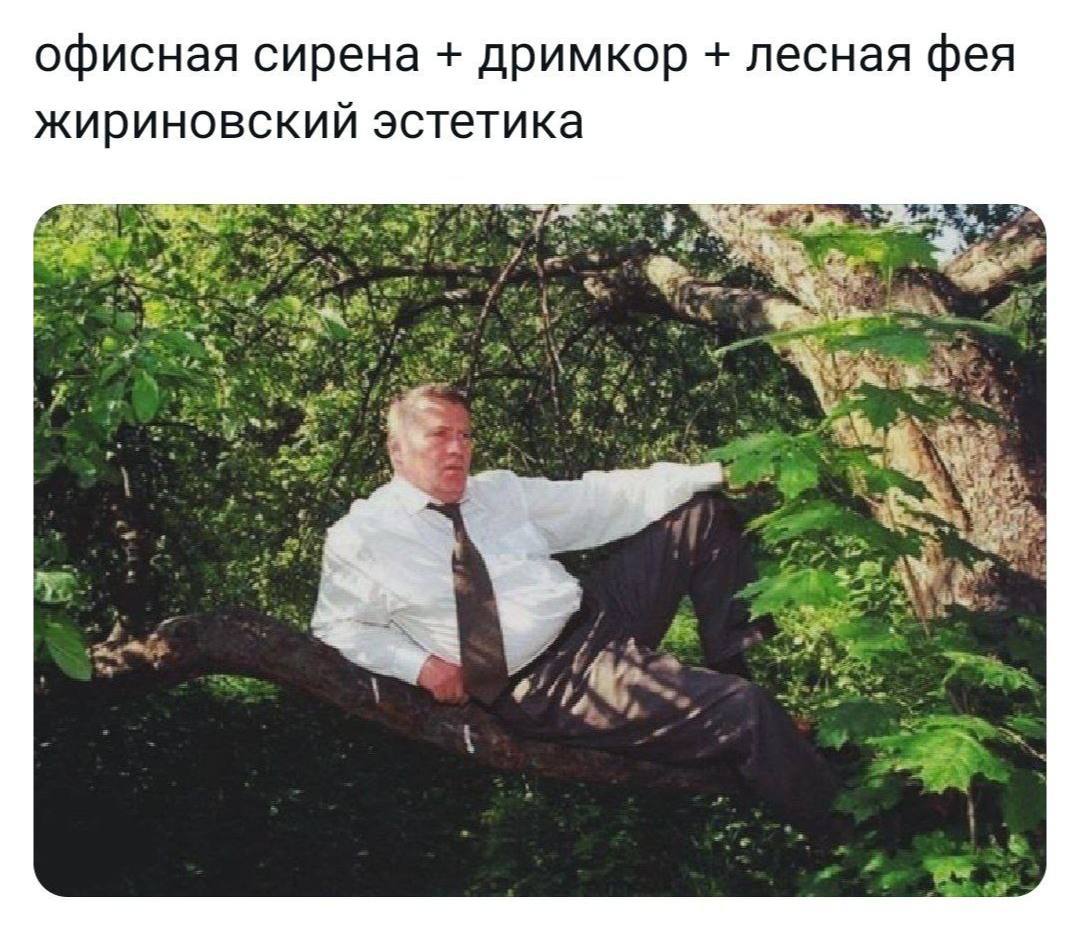 kenzolika's tweet photo. Настрик https://t.co/mPVQxQCgCf