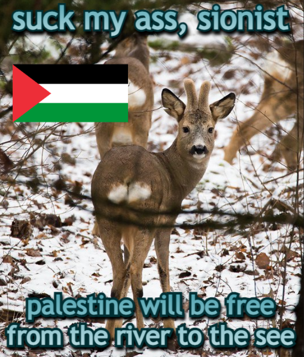 deertexting's tweet photo. https://t.co/EmtpdB3DDK