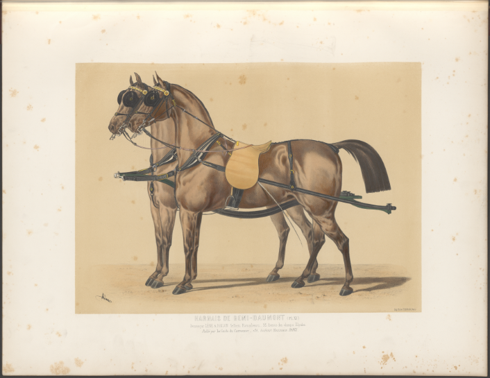 🔍#Focus🔍
#Tolosana vous présente un ouvrage richement illustré de 1878 sur le domaine de la sellerie-harnacherie.
Venez découvrir notre focus et les superbes lithographies de ce grand in-folio ici : t.ly/UbsNe
#MondayMotivation #Patrimoine #Chevaux