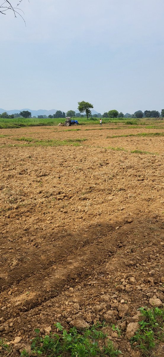 Aarakeraja's tweet image. गाइज मैं चन्ना और सरसों बुनवा रहा हु आप क्या कर रहे हो ☺️
#Kisan 
#modigoback