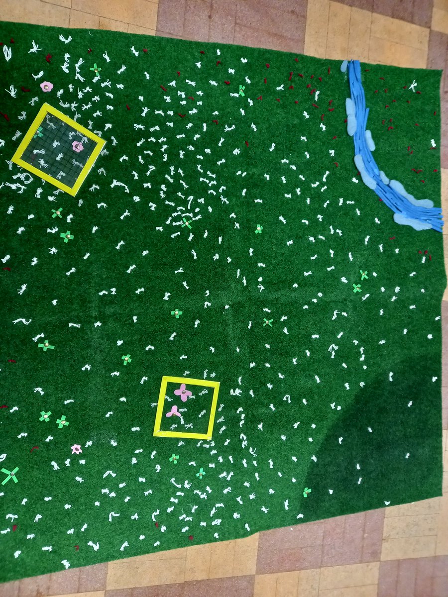 When the weather isn't the best for Year 11 to look at distribution and abundance - we have a handy indoor field to use thanks to our creative and crafty science technicians.